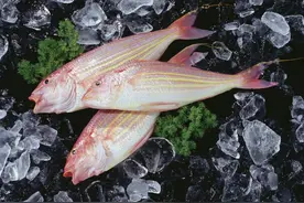 这5种海鱼，全都是野生捕捞，到海鲜市场放心买，味道鲜美又好吃图片