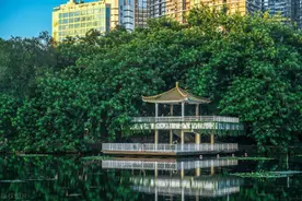 深圳有一个荔枝公园，有38年历史，见证了深圳的发展里程图片