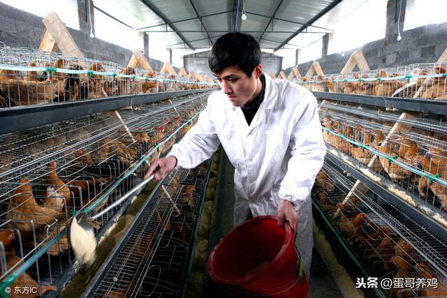 的小鸡皮肤小窍门