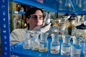 甲醛的特性及用途---馨源除甲醛图片