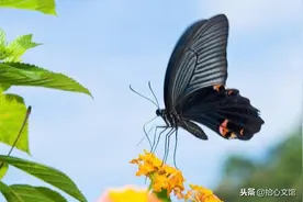 当一个人落魄的时候，靠自己学会这3件事，永远不会输图片