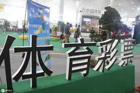 晶晶亮透大乐透第121期预测：后区偶偶大大组合，看好10 12图片
