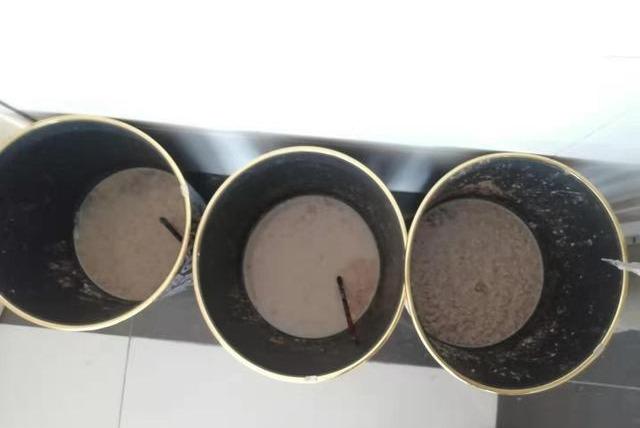 花生麸到底有什么神奇之处？果农十分关注，详细发酵及使用方法