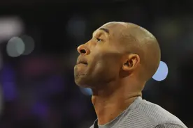 澳大利亚最热门宠物狗名字出炉：已故篮球明星科比名字夺冠图片