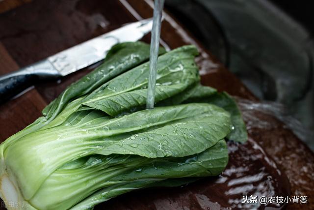 刘菜农推荐身体乳