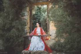 故事：她是舞姬，被赐婚做将军夫人，进府半年才见夫君两面图片