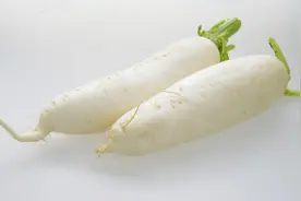 天凉要多吃白萝卜，这个做法火了，不加味精也鲜美，汤汁浓白好喝图片
