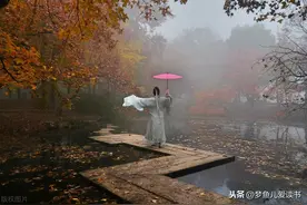 如果古人也会发朋友圈，会是什么内容呢，最后一条文采斐然图片