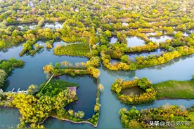 山东省龙口市拟投资6887.52万，建设湿地公园过滤污水图片
