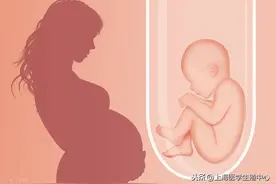 试管婴儿取卵后，多久可以取第二次？图片