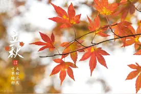 辽宁历年高考状元2017—2020图片