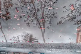 ⼀⽇⼀诗|《江城⼦》苏轼图片
