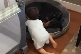 儿子睡到一半不见了，妈妈竟在狗窝找到，果然是狗都嫌的家伙图片