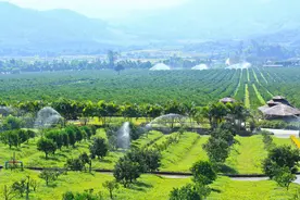 橘子洲头，看万山红遍图片