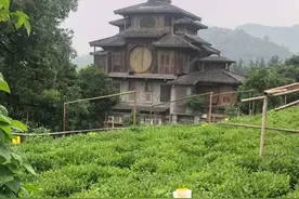 酷似“千与千寻”，西湖景区一民宅成网红打卡点！房主彻底懊恼了：这是私宅，别拍了图片