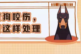 关于狂犬病的这些真相，你或许还未了解……图片