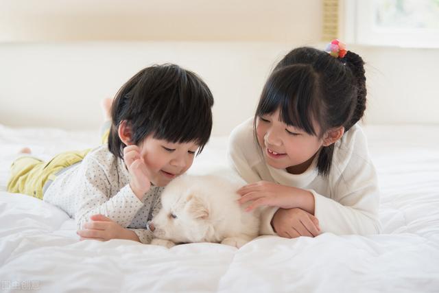 全价狗粮是什么意思