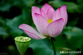 高中语文语法知识大全，快快收藏吧图片