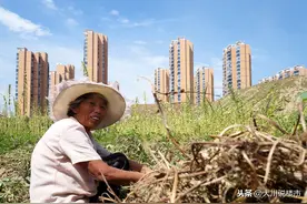 新规下，留在农村的老房子实施“地随房走”，城市子女要注意图片