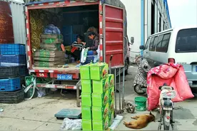 老药溴己新或为新冠肺炎治疗开拓“新路”图片