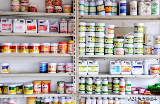 腥味商品饵有2大功效，但注意，都不是添加了动物蛋白的原理