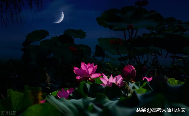 朱自清的《荷塘月色》你知道好在哪里吗？该如何去进行分析呢？