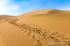 特稿｜沙漠花开图片