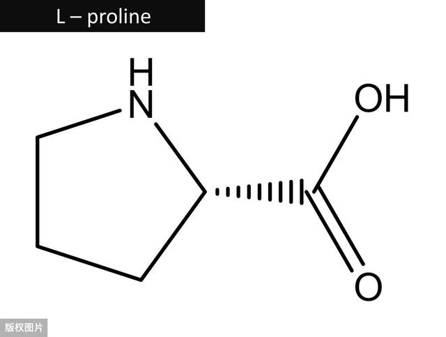 主管药师基础知识-生物化学1-蛋白质的结构与功能