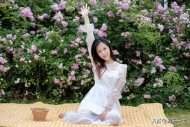 重发：Bqplot是一款用于Jupyter的交互式2D的python绘图库图片
