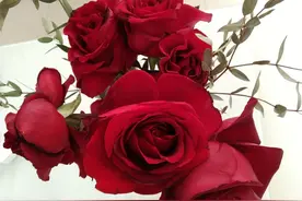 你还想念的人，说不定对方早已经把你忘记了图片