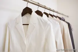 常见衣物的熨烫程序和质量标准图片