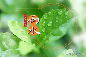 雨水将至，俗语“雨水落雨三大碗，大河小河都要满”，是啥意思？图片