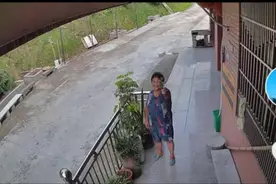 浙江孙女和奶奶通过监控隔空聊天的视频火了，全国网友都被暖哭：想奶奶了图片