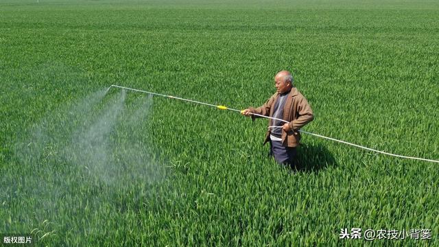 叶面肥使用看似简单，但未必人人能用对！10个方法教你提高肥效