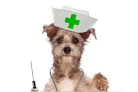 什么是狂犬病暴露？被狗咬抓但没出血，需要打疫苗吗？视频封面