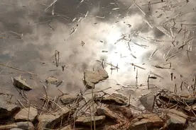 故事：她遇水就晕，总梦见自己泡在水里，庙里老奶奶道出缘由图片