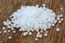 原来尿素居然还有这些作用！尿素使用途和用法详解图片