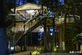 这儿的首家树屋餐厅即将营业 等你来打卡图片
