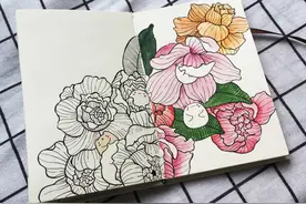 新手也可以画的线描画，手把手教你用水彩和针管笔画花卉图片