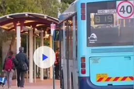 半小时一趟 澳大利亚悉尼新增300列巴士服务图片