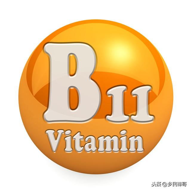 鸡群生理功能出现问题怎么办？维生素缺乏症别忽视，鸡农带来良方