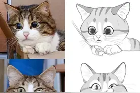 来自韩国画师新作品，一波可爱的动物表情（漫画）图片