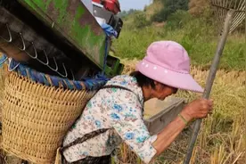 农村的留守妇女在家是怎样度过的？原来是这样哟，真了不起图片