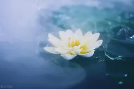 想念一个人，会熬夜图片