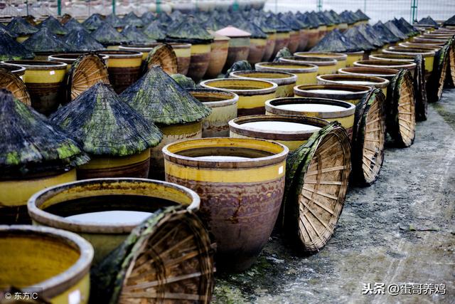 白醋怎么对付鸡皮肤