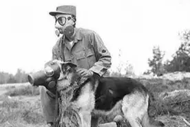 中国第一猛犬，被称为中华掏肛兽，专杀日本狼青，犬中封喉王图片