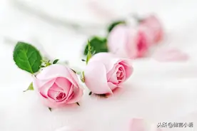 结婚后才发现，媳妇是传说中的公主病图片