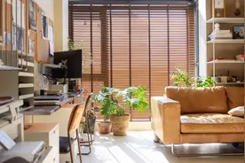 50㎡阳光 loft，猫狗双全，好看的不像话图片