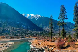 高瓴资本又加仓了一个生物医药公司图片