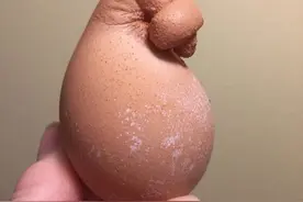 20个大自然中出乎意料的事情，即使见多识广也不由感叹世界真奇妙图片